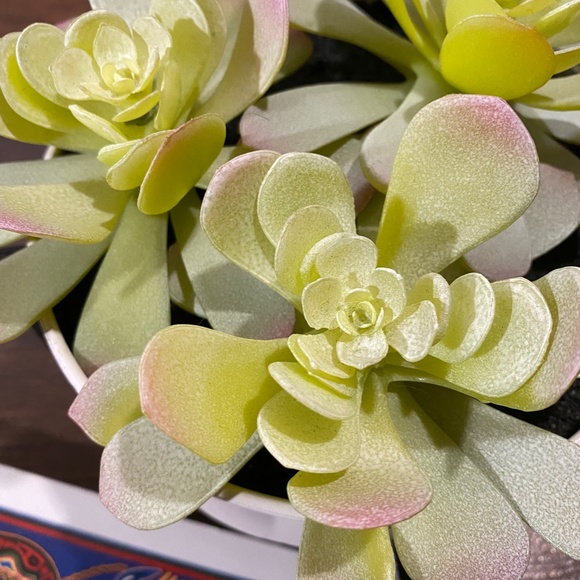 Faux Succulent in White Pot in Metal Pot 5-1/4 inch wide - Picture 4 of 5